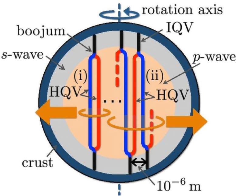 Quantum Vortex Network