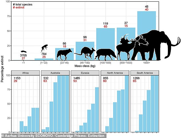 The researchers noted that 40 of the 48 known large mammals during this period (top right of the graph) went extinct, while only smaller and smaller percentages of each lower-weight species died.  The bottom row breaks down these extinction numbers by continent